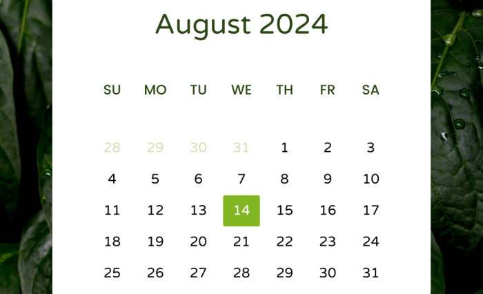 August 2024 August 2024